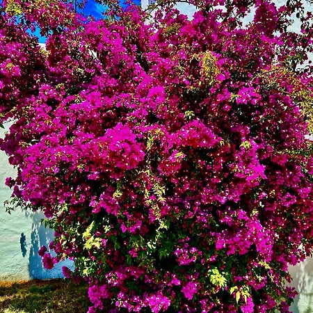 Solar Do Monte 2 * Albufeira