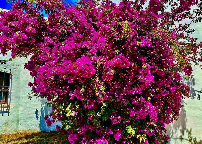 Solar Do Monte 2 * Albufeira